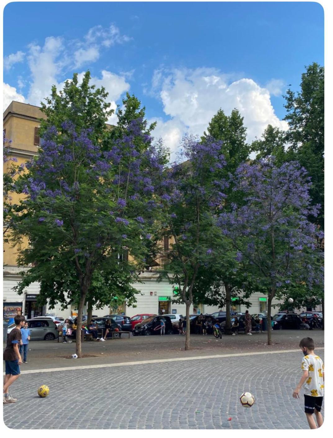 Testaccio Historic House 罗马 外观 照片